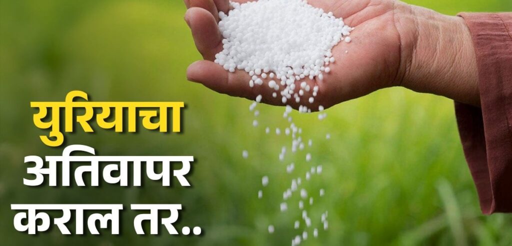 agriculture agri farming